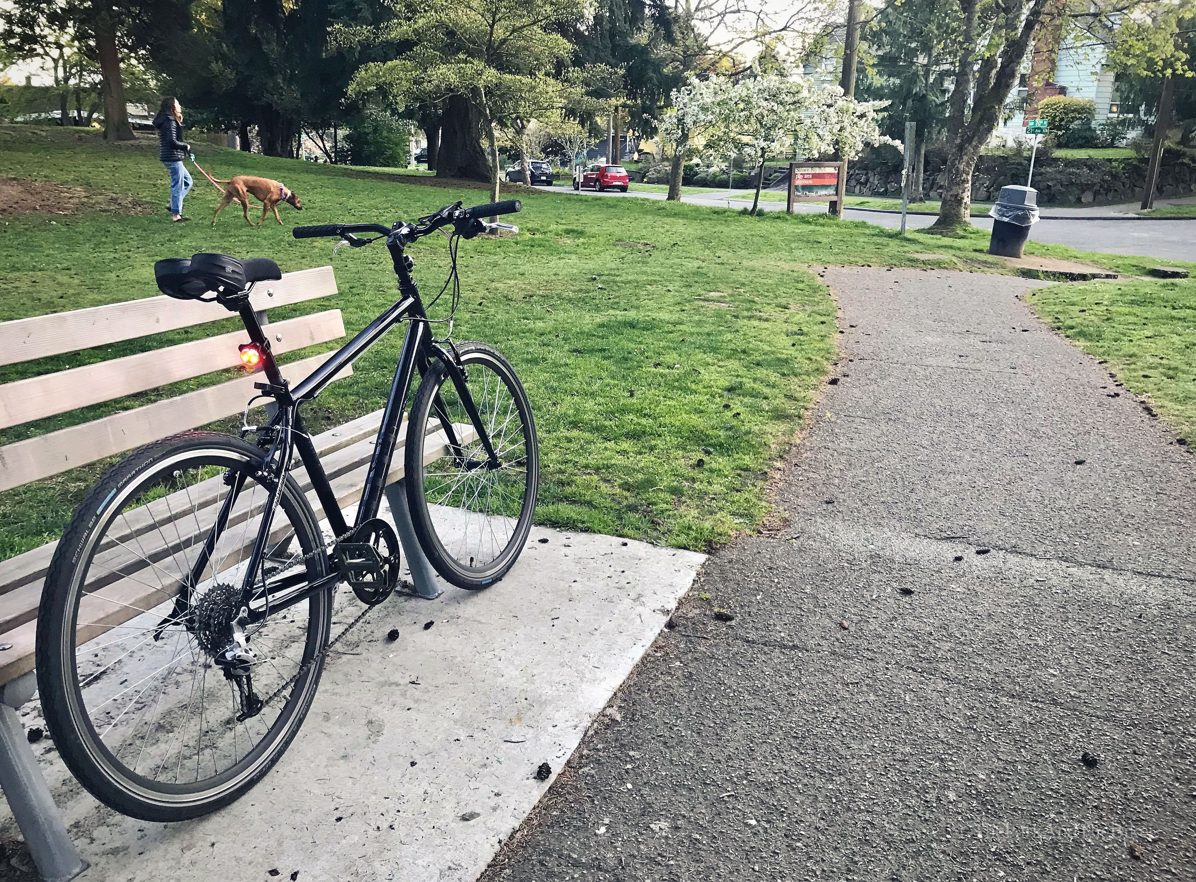 Salmon Bay Park