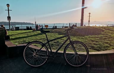 Victor Steinbrueck Park