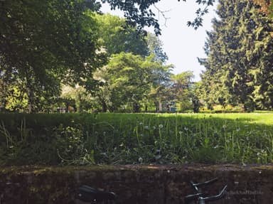 Alvin Larkins Park