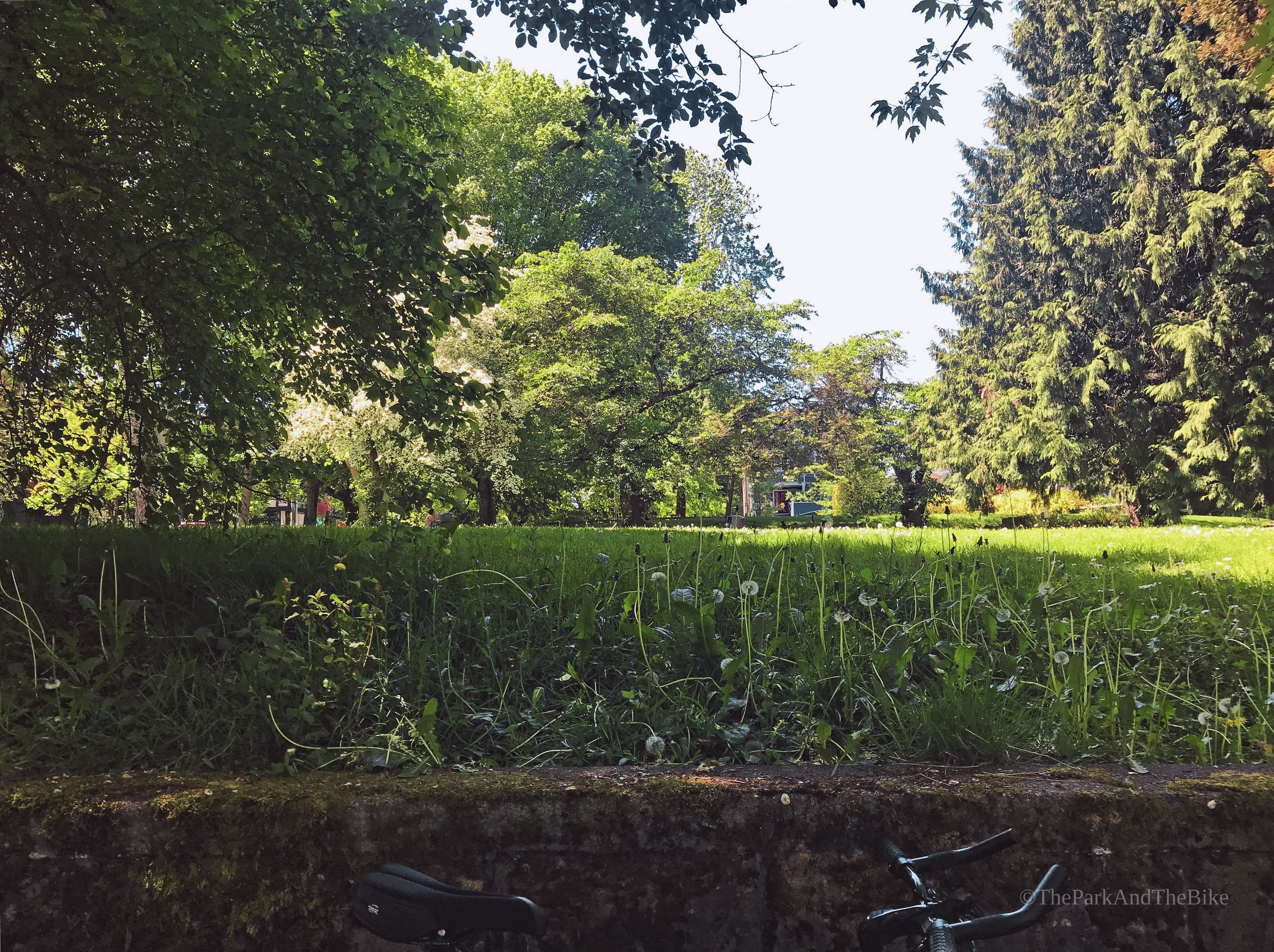 Alvin Larkins Park