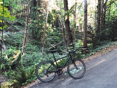 SE 47th Open Space