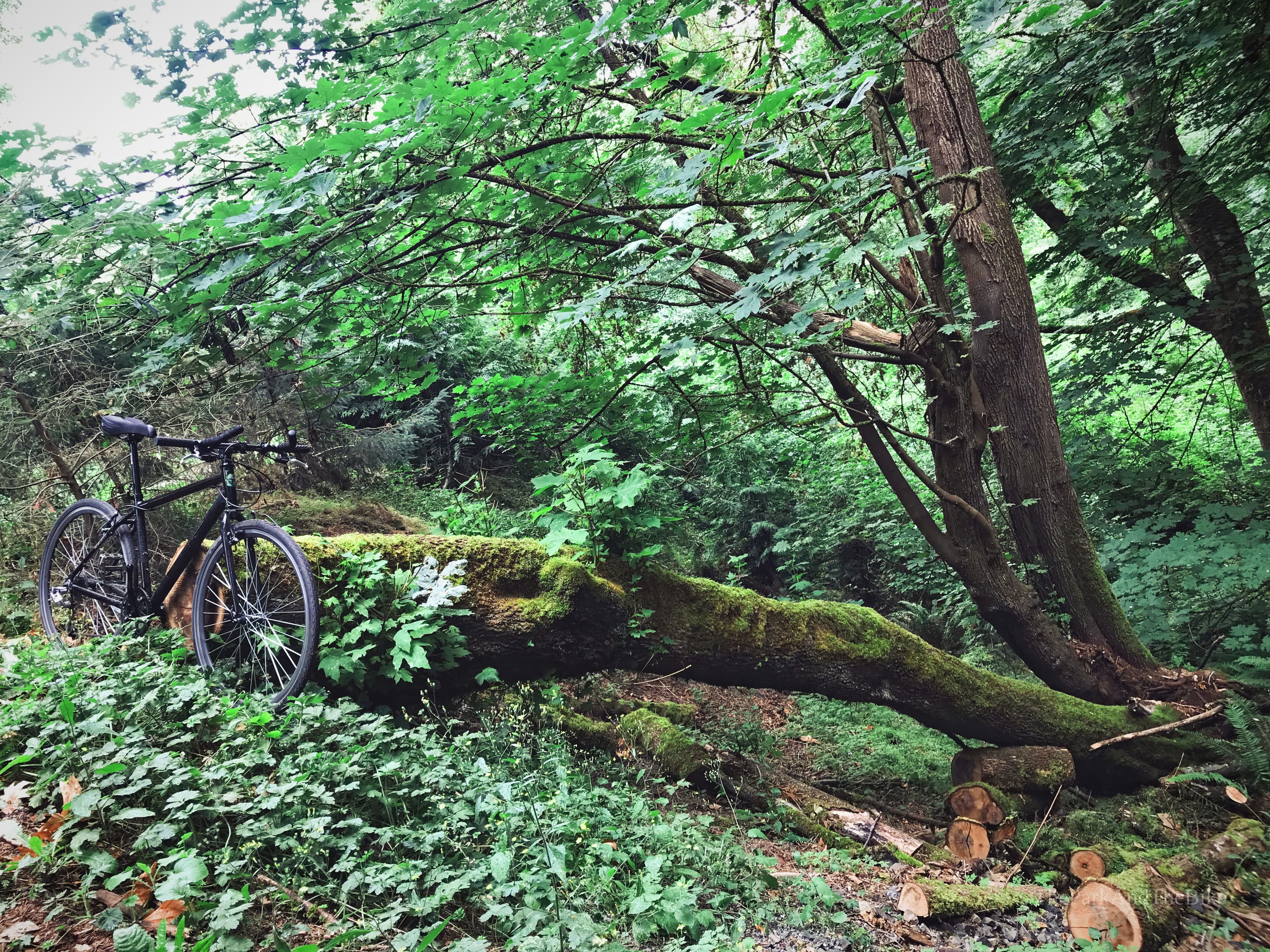 SE 53rd Open Space