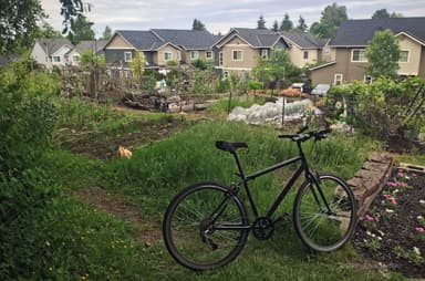 Rainier Vista Dakota Garden