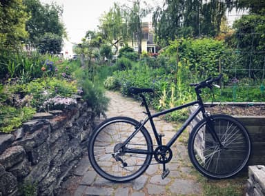 Thomas Street Gardens
