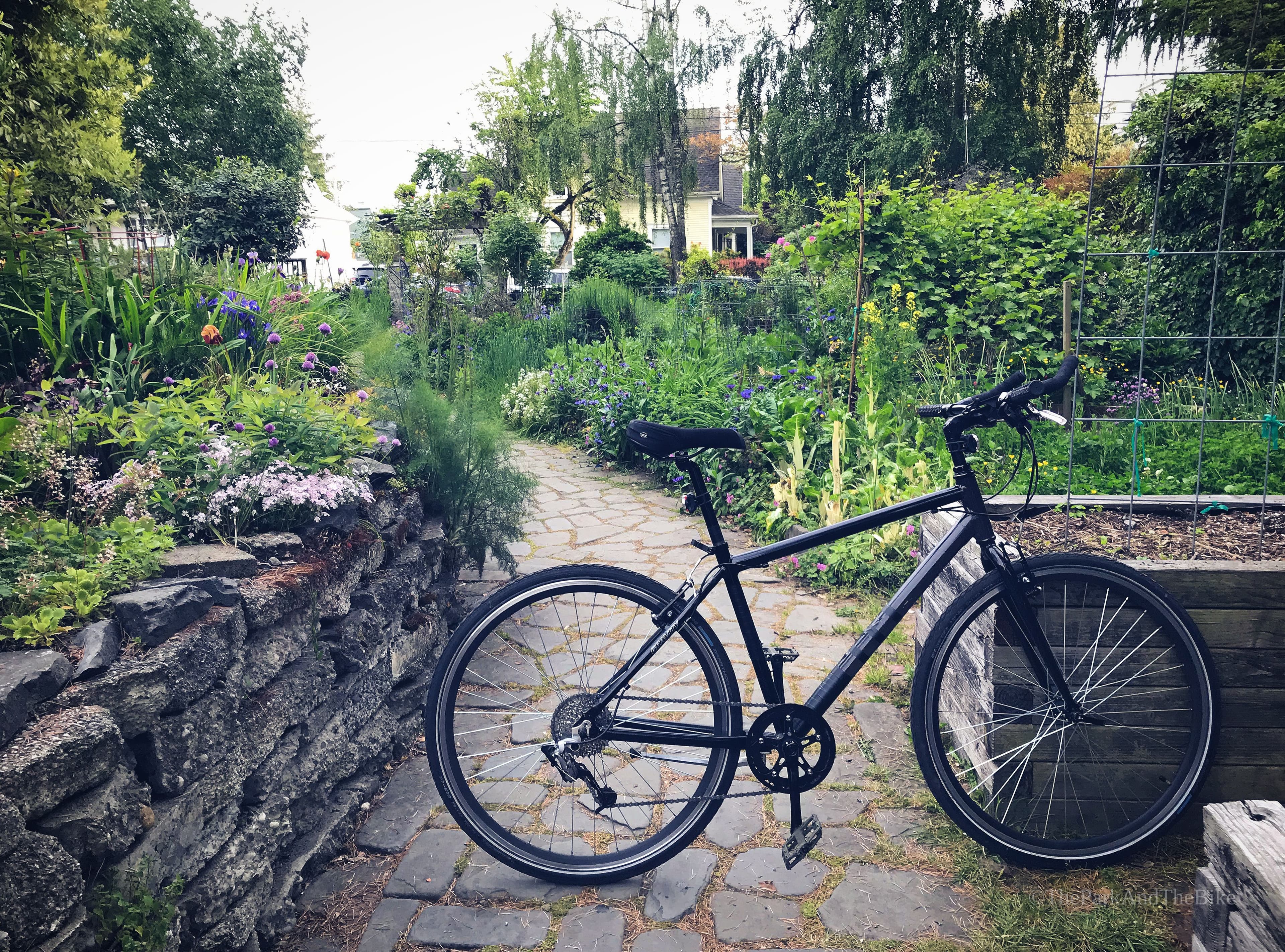 Thomas Street Gardens